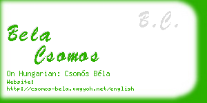 bela csomos business card