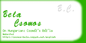 bela csomos business card